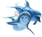 delphin_02